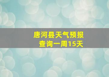 唐河县天气预报查询一周15天