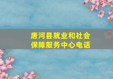 唐河县就业和社会保障服务中心电话