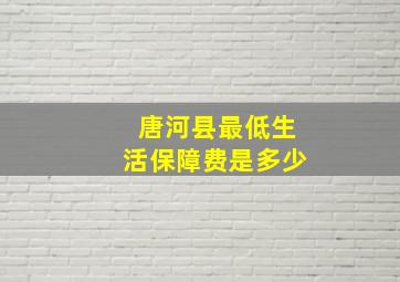 唐河县最低生活保障费是多少