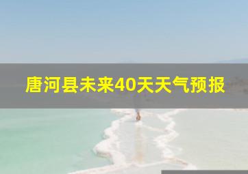 唐河县未来40天天气预报