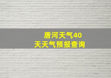 唐河天气40天天气预报查询