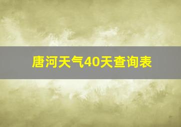 唐河天气40天查询表