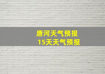 唐河天气预报15天天气预报