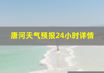 唐河天气预报24小时详情