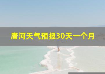 唐河天气预报30天一个月