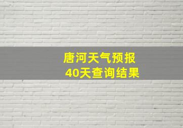 唐河天气预报40天查询结果