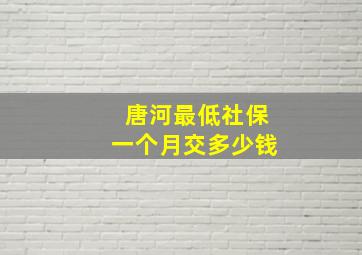 唐河最低社保一个月交多少钱