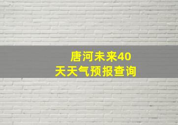 唐河未来40天天气预报查询