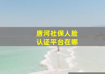 唐河社保人脸认证平台在哪