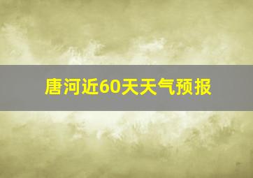 唐河近60天天气预报