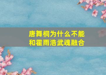 唐舞桐为什么不能和霍雨浩武魂融合