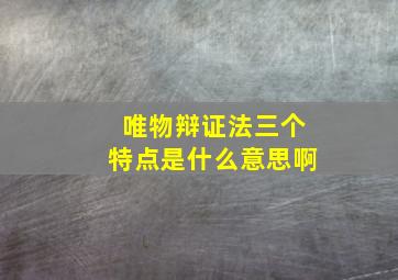 唯物辩证法三个特点是什么意思啊