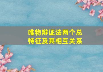 唯物辩证法两个总特征及其相互关系