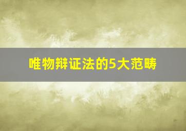 唯物辩证法的5大范畴