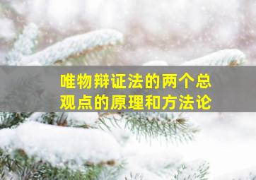 唯物辩证法的两个总观点的原理和方法论