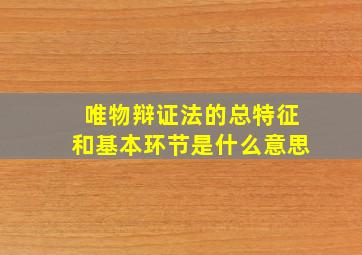 唯物辩证法的总特征和基本环节是什么意思