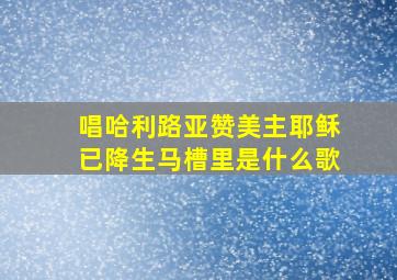 唱哈利路亚赞美主耶稣已降生马槽里是什么歌