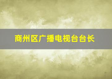 商州区广播电视台台长