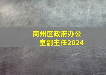 商州区政府办公室副主任2024