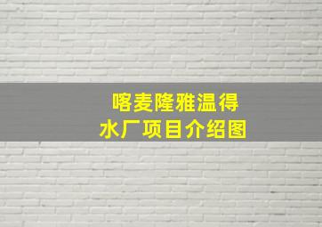 喀麦隆雅温得水厂项目介绍图