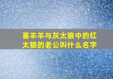 喜羊羊与灰太狼中的红太狼的老公叫什么名字