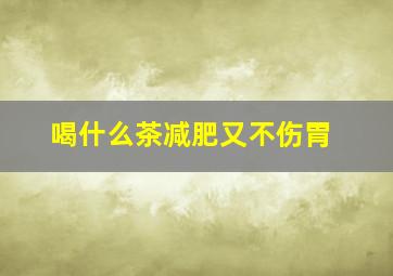 喝什么茶减肥又不伤胃