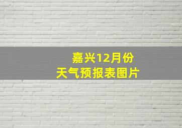 嘉兴12月份天气预报表图片