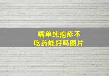 嘴单纯疱疹不吃药能好吗图片