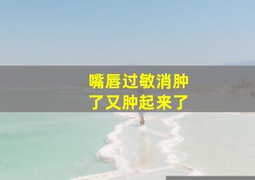 嘴唇过敏消肿了又肿起来了