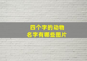 四个字的动物名字有哪些图片