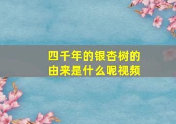 四千年的银杏树的由来是什么呢视频