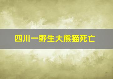 四川一野生大熊猫死亡