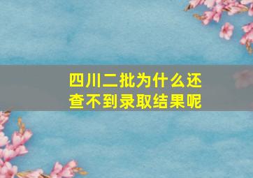 四川二批为什么还查不到录取结果呢