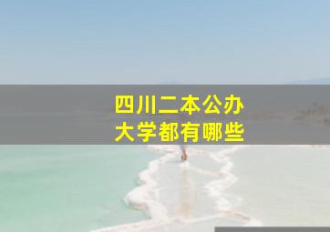 四川二本公办大学都有哪些