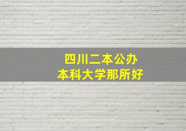 四川二本公办本科大学那所好