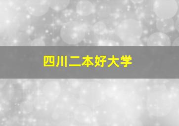 四川二本好大学