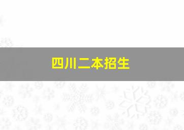 四川二本招生