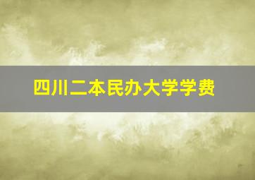 四川二本民办大学学费