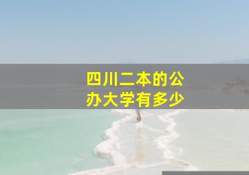 四川二本的公办大学有多少