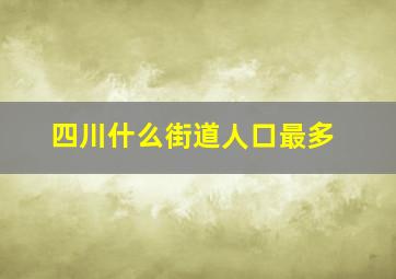 四川什么街道人口最多