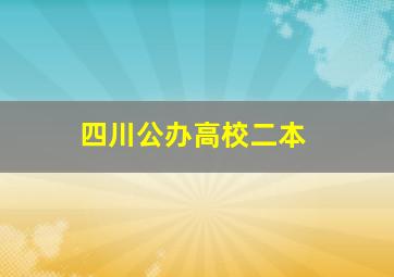 四川公办高校二本