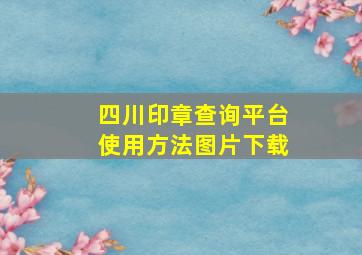 四川印章查询平台使用方法图片下载