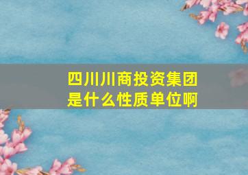 四川川商投资集团是什么性质单位啊