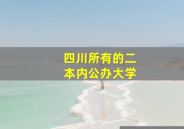 四川所有的二本内公办大学