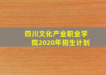 四川文化产业职业学院2020年招生计划