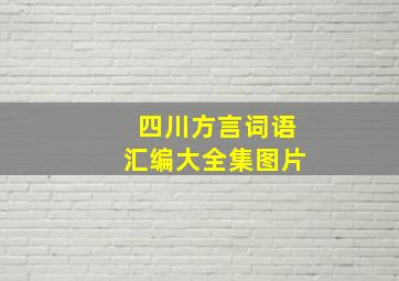 四川方言词语汇编大全集图片