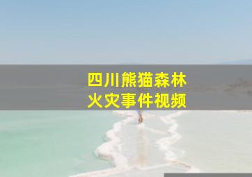 四川熊猫森林火灾事件视频