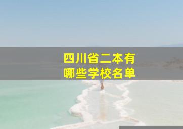 四川省二本有哪些学校名单