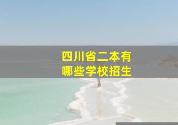 四川省二本有哪些学校招生