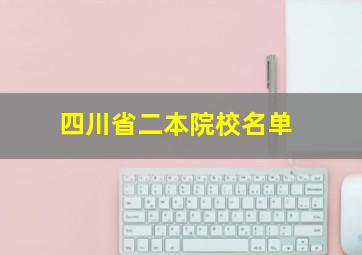 四川省二本院校名单